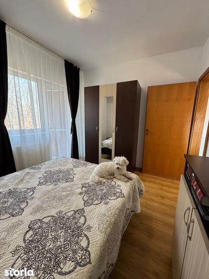Apartament cu 2 camere, mobilat în Mănăștur