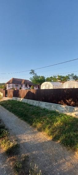 Casă individuală cu 2 camere cu Teren 2200 Mp în Vișinelu