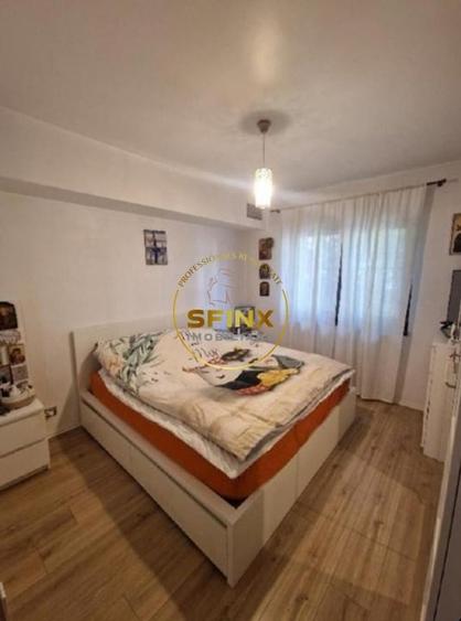 Parcul Circului, vanzare vila individuala, 2014, 5 camere, curte, terasa - 11