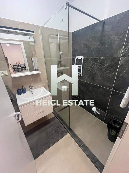 Apartament cu 2 camere, mobilat în Giroc