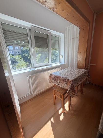 Garsoniera, etaj 1 - zona Lipovei, pozitie excelenta - 8
