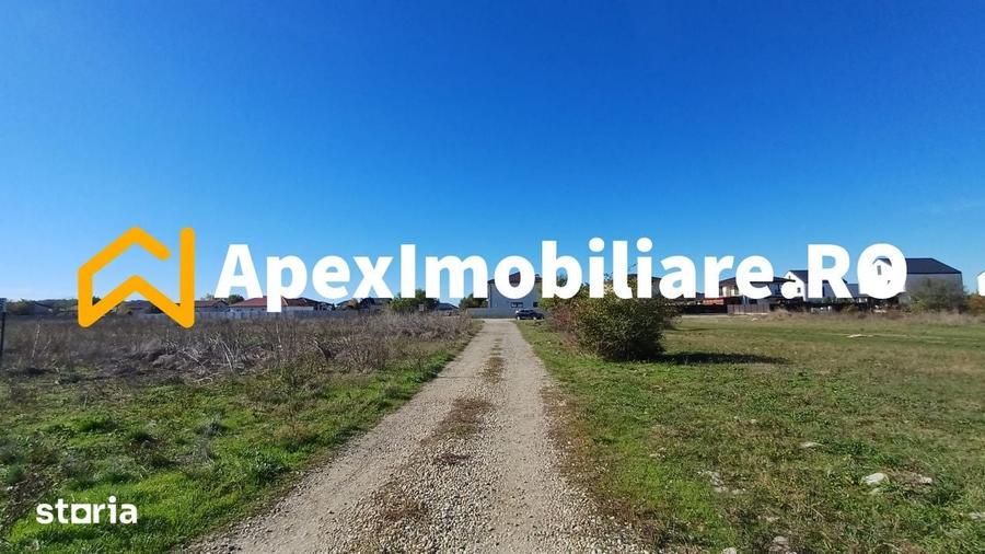 Corbeanca - Tamasi | Teren 1225mp, deschidere 44ml | Utilitati la 50m - 12