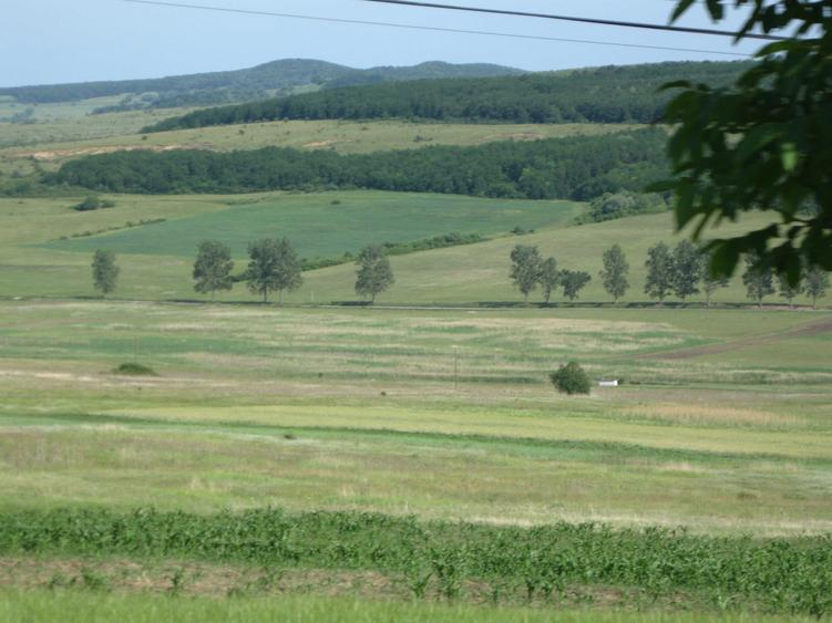 Teren de 26258 mp, în Apoldu de Jos
