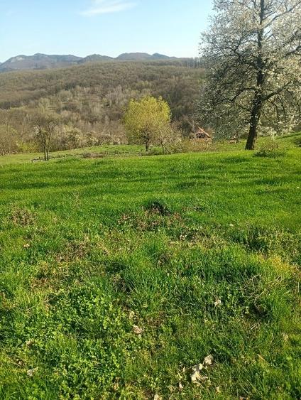 Teren Construcții intravilan de 1000 mp, în Meteș