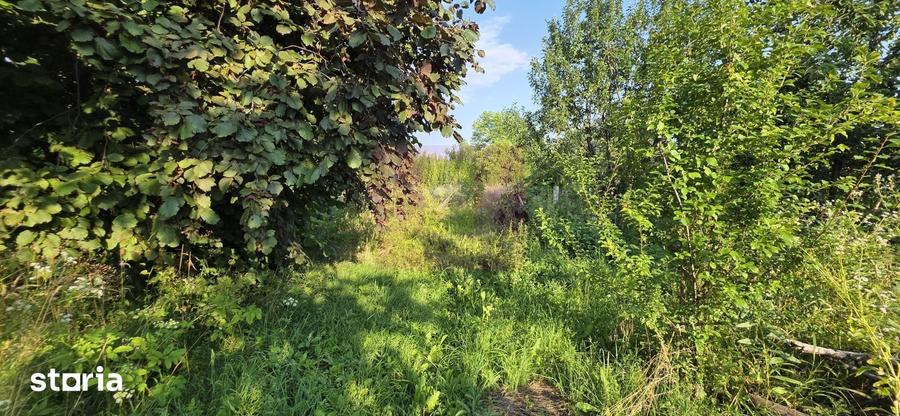 Teren de 1430 mp, în Mărășești