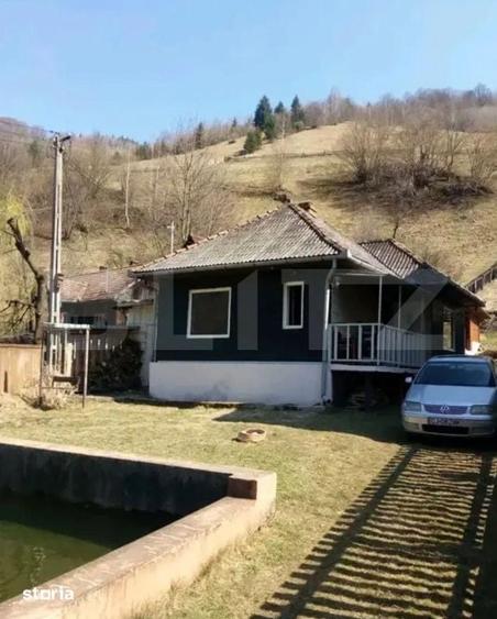 Cabana cu piscina si sistem fotovoltaic -Maguri Racatau. - 5