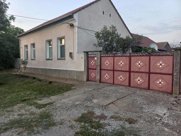 Casă cu 4 camere cu Teren 2484 Mp în Sânmartin