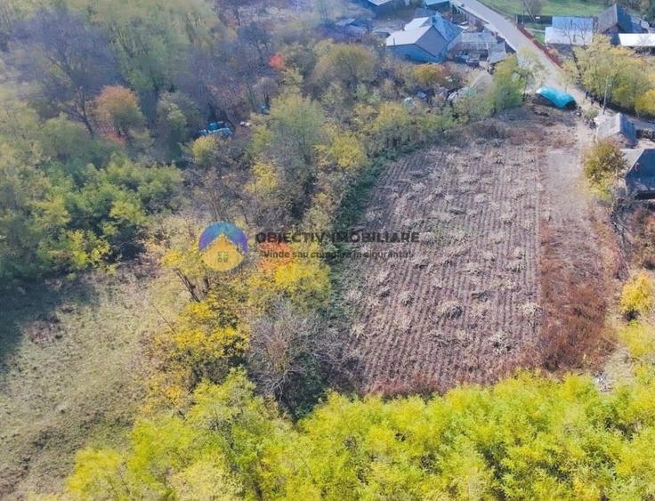 Teren Construcții intravilan de 11766 mp, în Costișa
