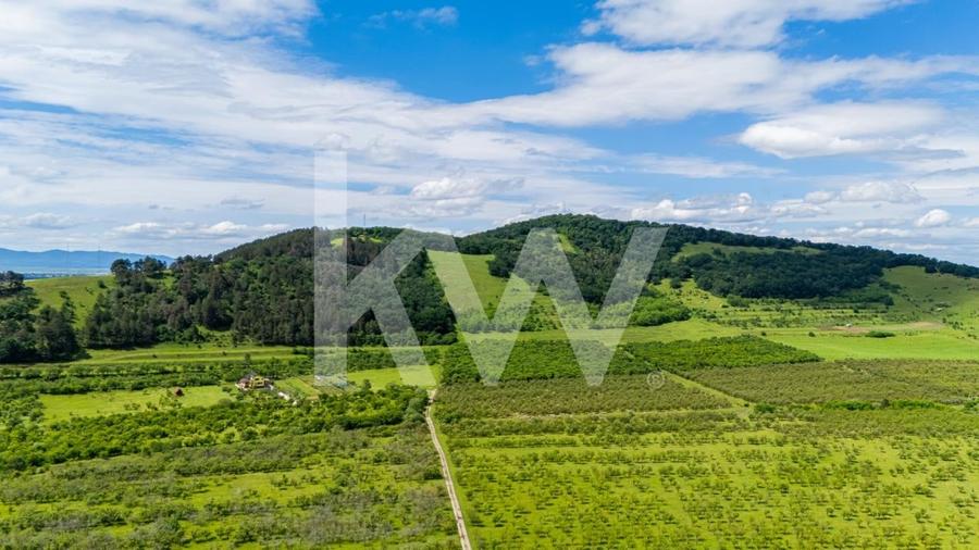 Teren Construcții intravilan de 760 mp, în Hărman