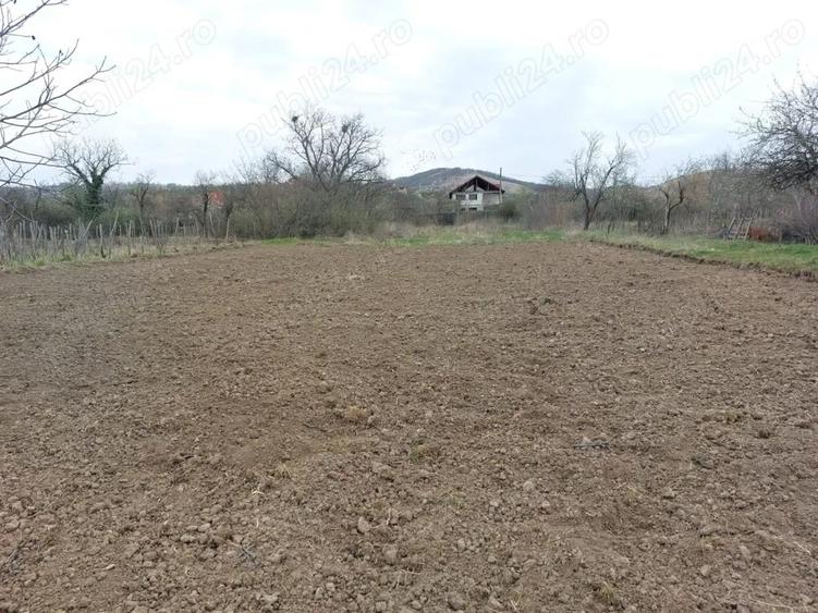 Casa 2 corpuri cu teren Izvoru Barzii, Mehedinti - 1