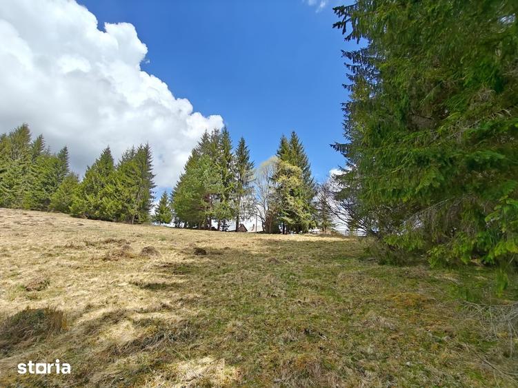 Teren de 3040 mp, în Beliș