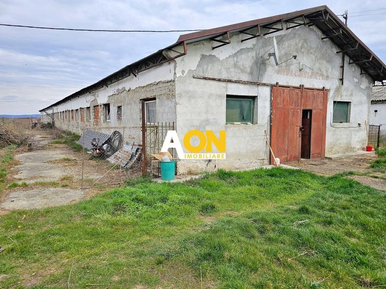 Spațiu industrial, de 1,400 mp, în Lunca Mureșului