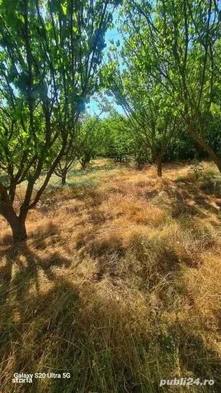 Teren de 1077 mp, în Potârnichea