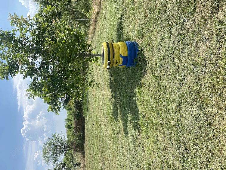 Teren de 700 mp, în Narcisa