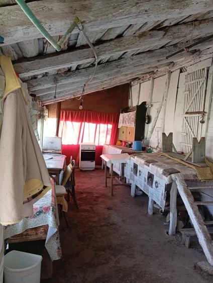 Casa Verbita+Livada de Pruni - 2