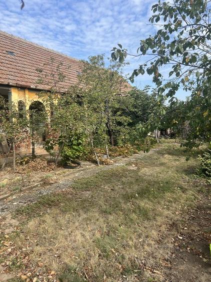Casă cu 3 camere în Călacea