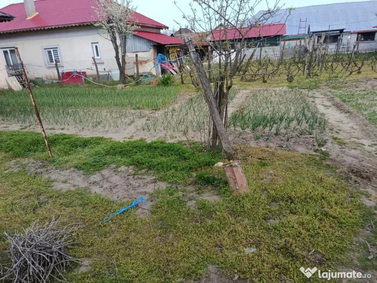 Casă cu 5 camere cu Teren 8481 Mp în Soreni