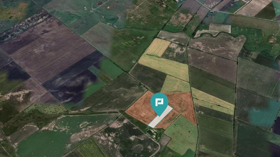 Teren agricol extravilan de 28900 mp, în Variașu Mic