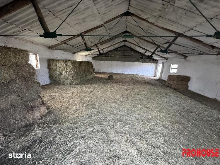 Teren de 27015 mp, în Racova