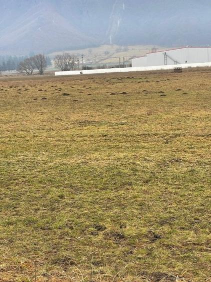 Teren Construcții intravilan de 11500 mp, în Bartolomeu