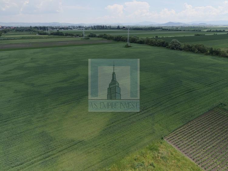 Teren Construcții intravilan de 50000 mp, în Hălchiu