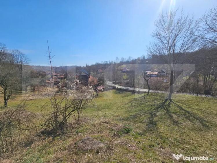 Teren de 6820 mp, în Almașu Mare
