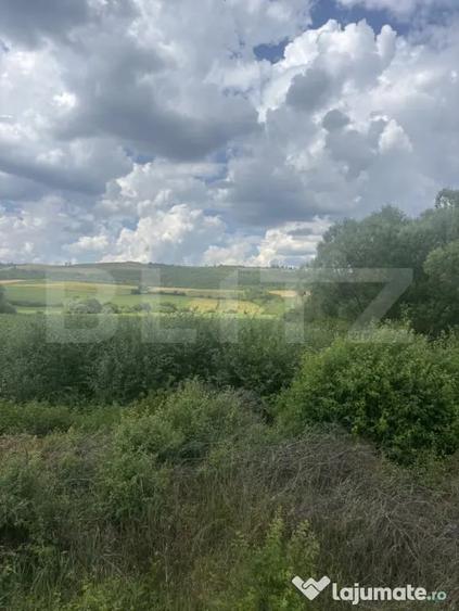 Teren în Zăuan