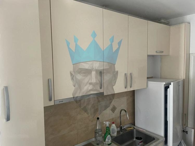 Apartament 2 Camere Parcul Carol Tineretului Bucuresti - 7