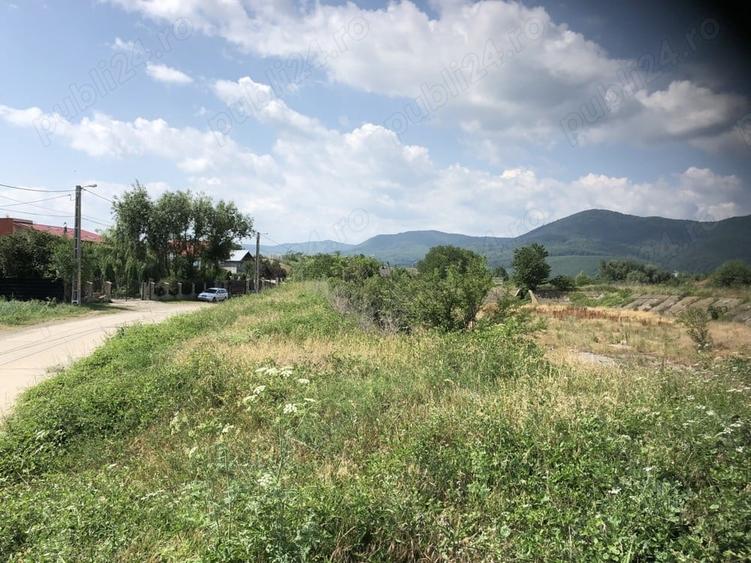 Teren de 5470 mp, în Ciritei