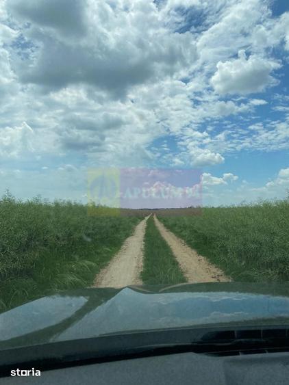 Teren de 94000 mp, în Bradu