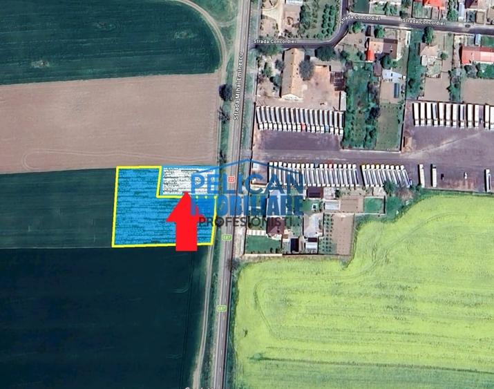 Teren Construcții intravilan de 1000 mp, în Mihail Kogălniceanu