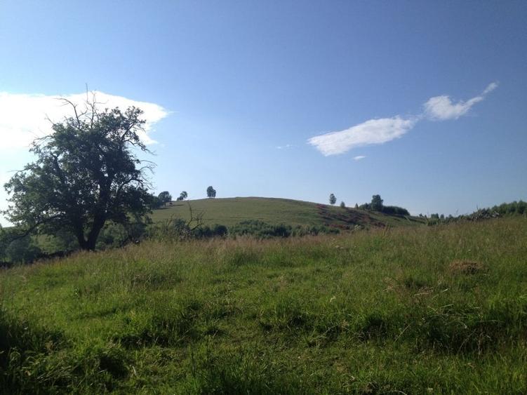 Teren agricol extravilan de 36000 mp, în Tilișca