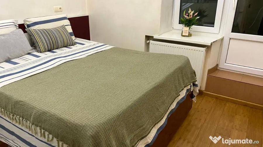 Apartament cu 2 camere de inchiriat in zona Teiul Doamnei - 4