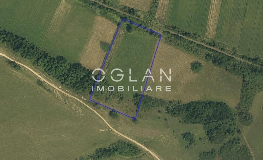 Teren agricol extravilan de 11500 mp, în Cristian