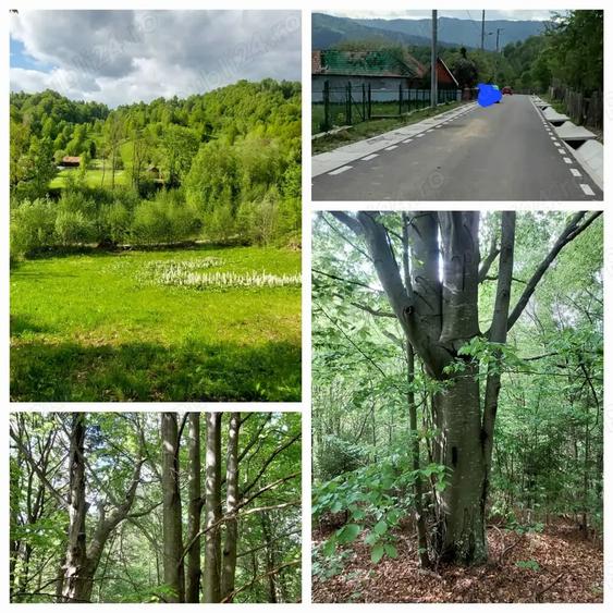 Teren de 12820 mp, în Agăș