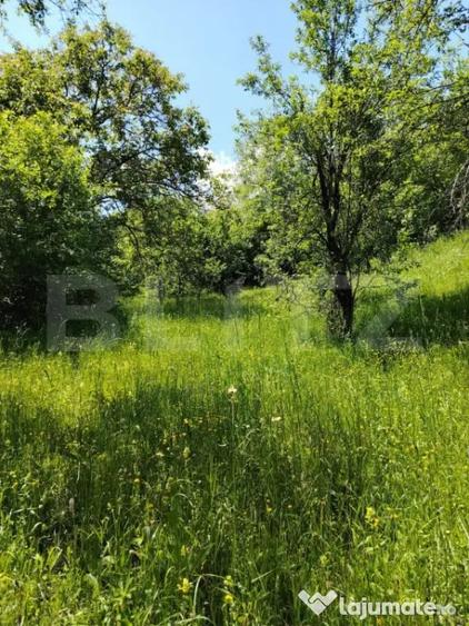 Teren de 4125 mp, în Fieni