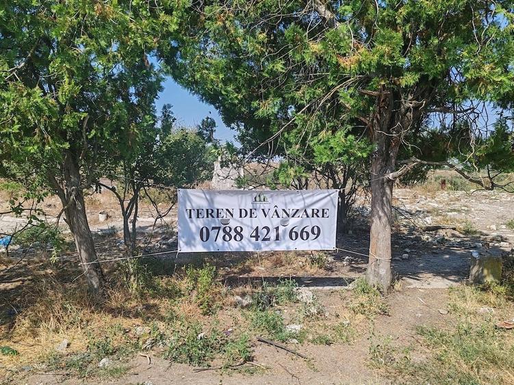 Teren de 9795 mp, în Rădoiești