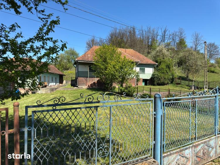 Casă cu 4 camere cu Teren 7247 Mp în Băița