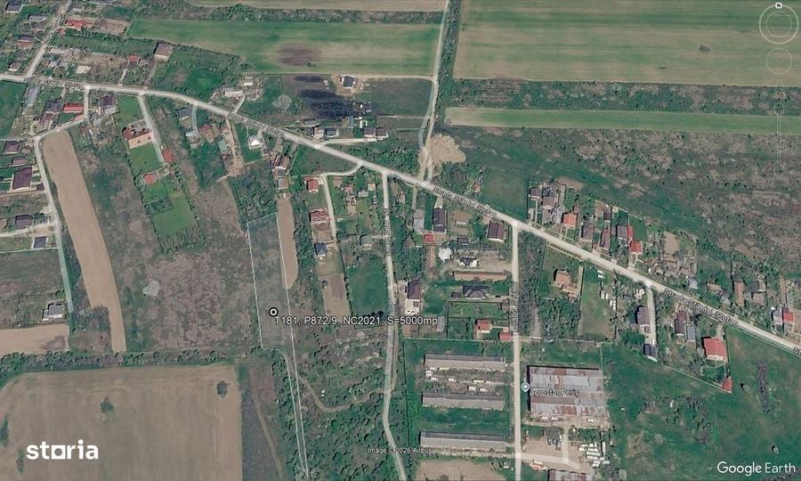Snagov-str. Piersicariei - 2