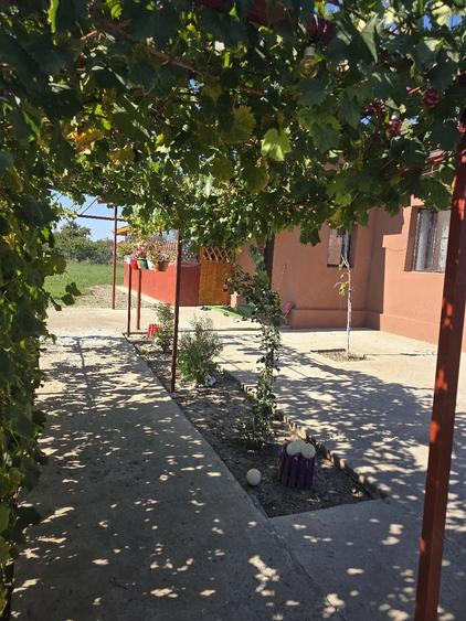Casă cu 2 camere cu Teren 2100 Mp în Sărățeni