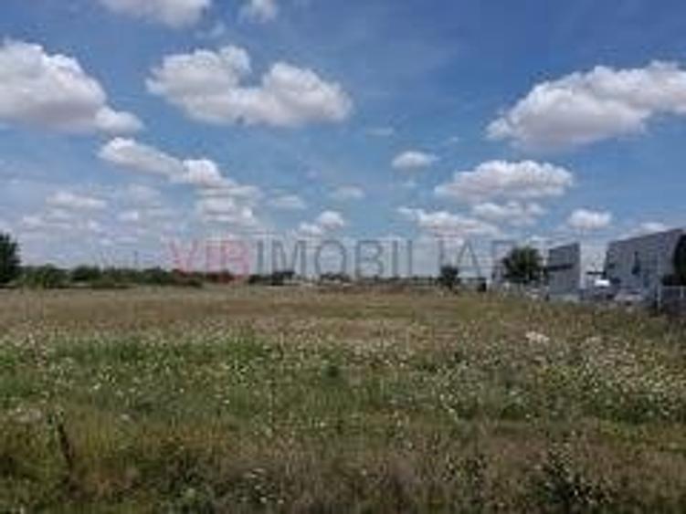 Teren industrial de vânzare , Timișoara. Autorizație de construire inclusă - 7