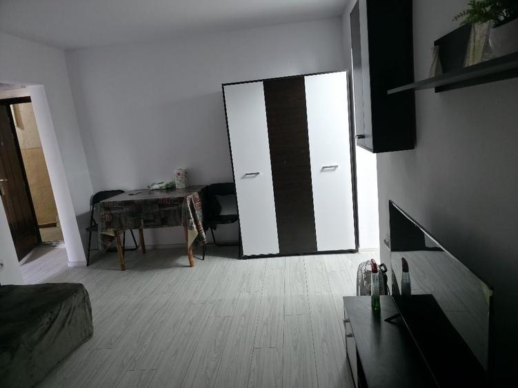 Apartament 2 camere etaj 1 viziru - 3