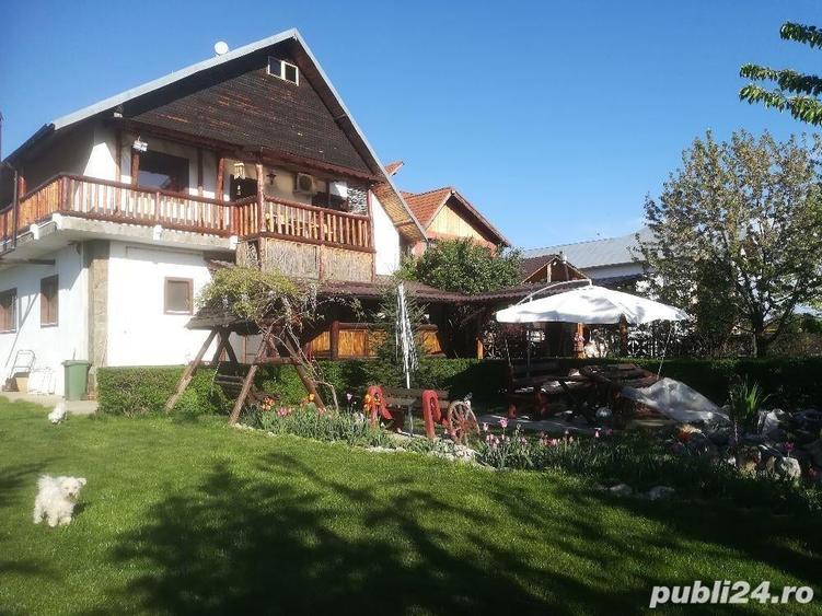 Casă cu 4 camere cu Teren 3000 Mp în Teiș