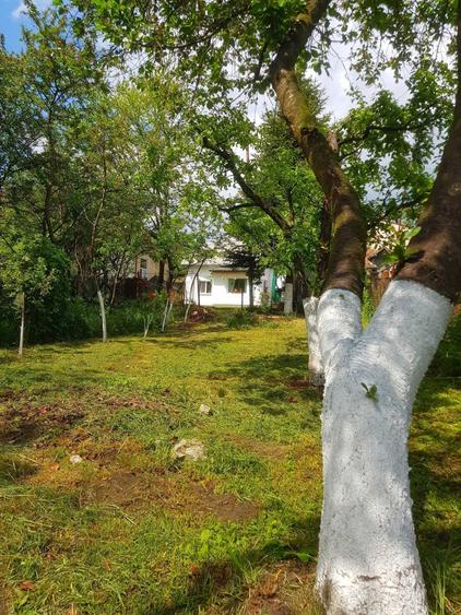 Casa in Breaza de Sus, ultracentral, 3 camere, teren 376 mp-76.000 (negociabil) - 3
