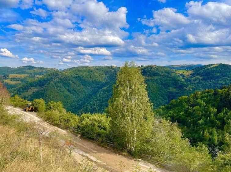 Teren de 8461 mp, în Mărișel
