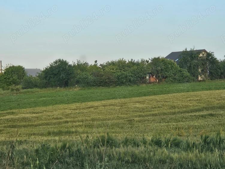 Teren de 11860 mp, în Călugăreni