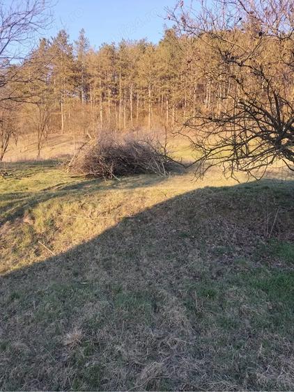 Casă cu 2 camere în Diviciorii Mari