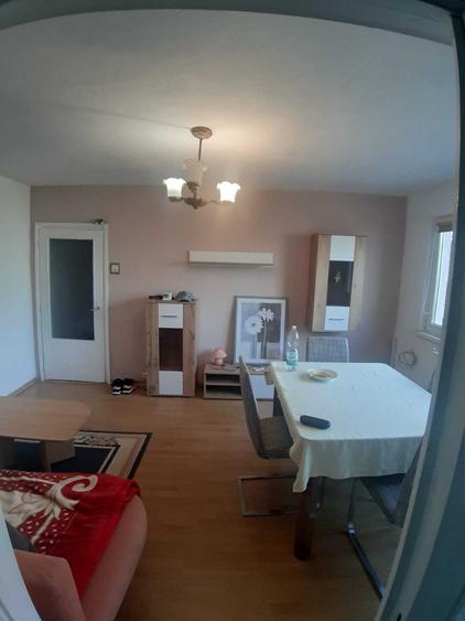 Apartament cu 2 camere decomandat în Șagului