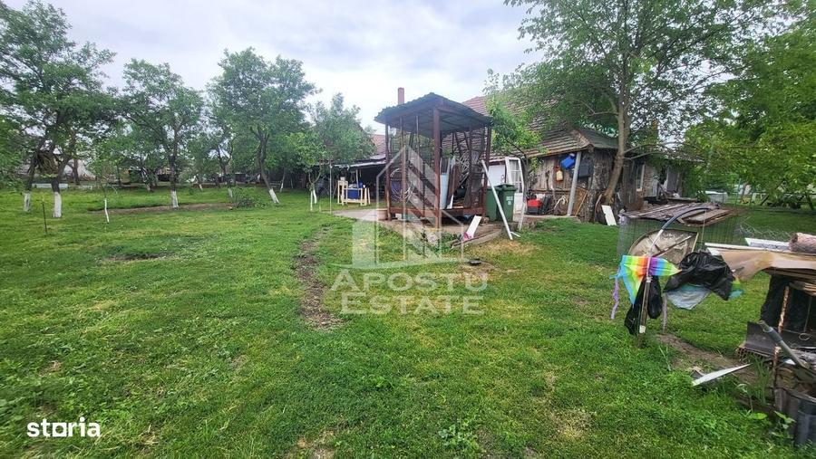 Casa individuala cu 6 camere,2 bai,teren de 1017 mp Pischia Central - 4