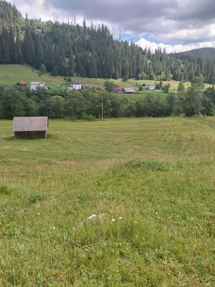 Teren 24134 mp Ciocanesti, Jud. Suceava - 4